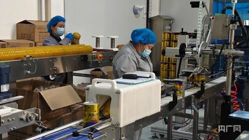 科技創(chuàng)新驅(qū)動產(chǎn)業(yè)升級 探索阜康市網(wǎng)絡(luò)科技領(lǐng)域的雙輪驅(qū)動綠色發(fā)展路徑